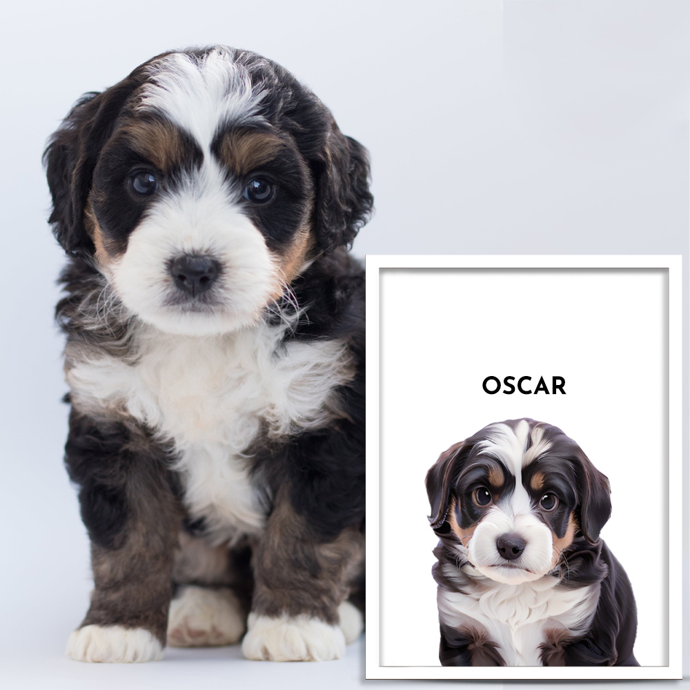 Custom One Pet Portrait